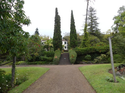 2020-09-22 Palheiro Gardens P1180845.JPG