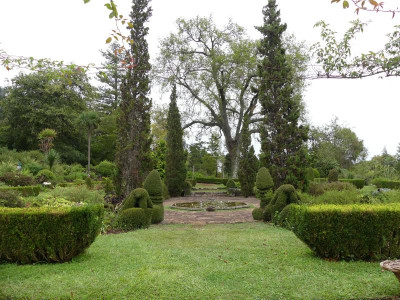 2020-09-22 Palheiro Gardens P1180846.JPG