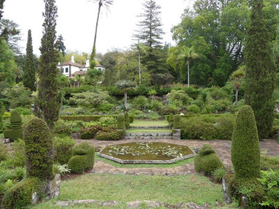 2020-09-22 Palheiro Gardens P1180852.JPG