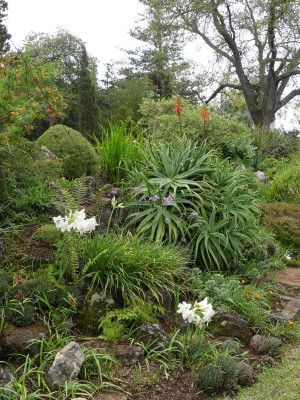 2020-09-22 Palheiro Gardens P1180917.JPG