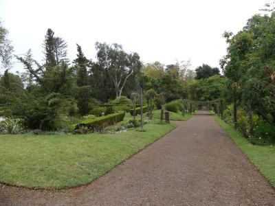 P1180840.JPG