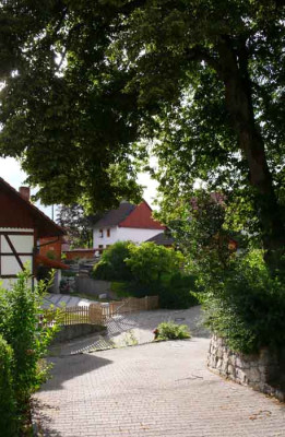 mlinde.jpg