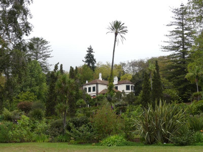 2020-09-22 Palheiro Gardens P1180954.JPG