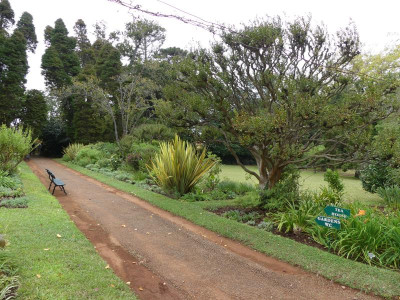 P1180940.JPG