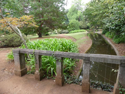 P1180982.JPG