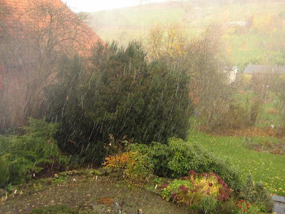 Regen_1a.jpg