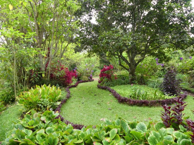 2020-09-22 Palheiro Gardens P1190124.JPG