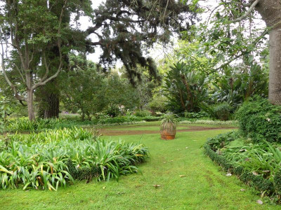 2020-09-22 Palheiro Gardens P1190140.JPG