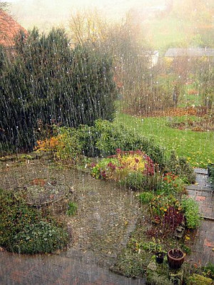 Regen_3a_8039.jpg