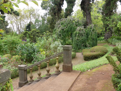 2020-09-22 Palheiro Gardens P1190243.JPG