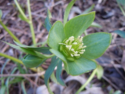 DSCN0671.JPG
