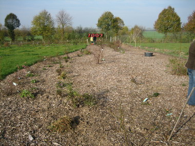 Rosenpark_Labenz_4.jpg