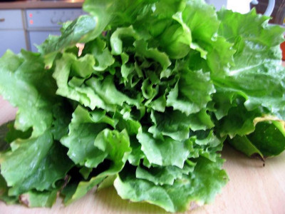 Ernte11062.JPG