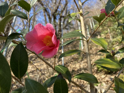 CEE2019F-F743-4C14-8C7F-79F683ED45BD.jpeg