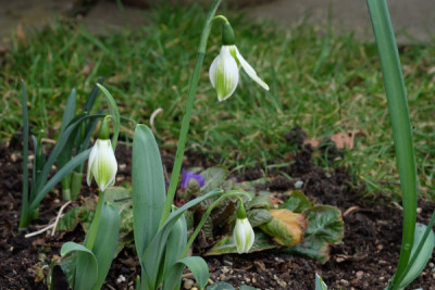 DSCF3725_5322.JPG