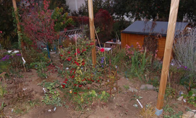 Drei_Pfosten_fur_Kaskadenrosen_00100_DSC_8555.jpg