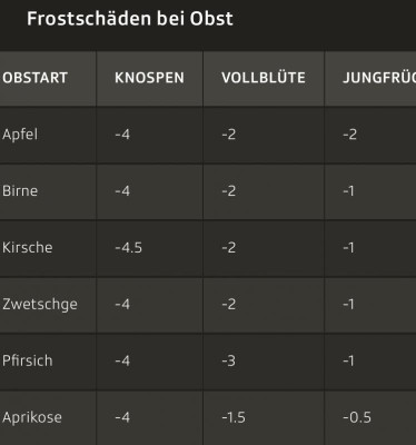 IMG_1492 (Bearbeitet).PNG