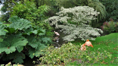 DSC03729.JPG