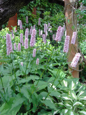 2005 PICT0729.jpg