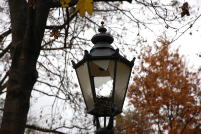 Wintergarten-Vogelhaus.jpg