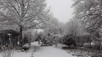 IMG_20210318_181618.jpg