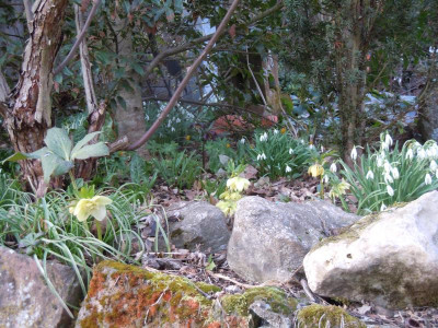 DSCN0650.JPG