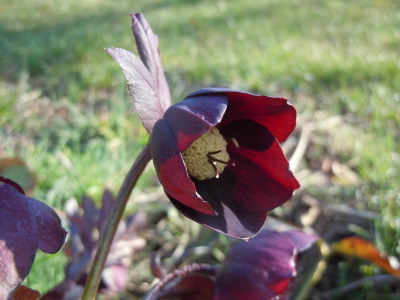 DSCN0695.JPG