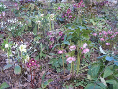 DSCN0696.JPG