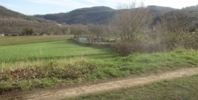 200321.jpg