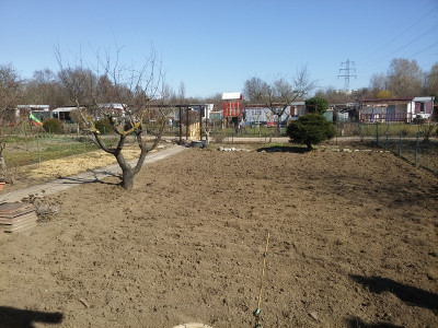 Rasen 77 210307.jpg