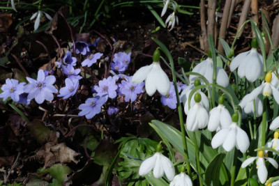 DSCF4077_5385.JPG