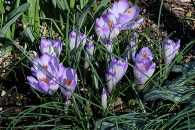 DSCF4064_5382.JPG