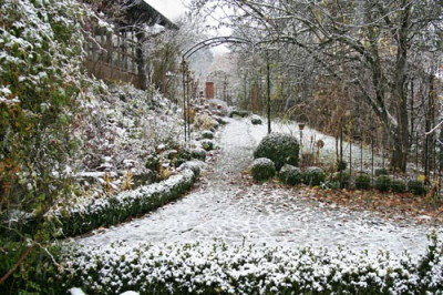 Wintereinbruch_Nov..jpg