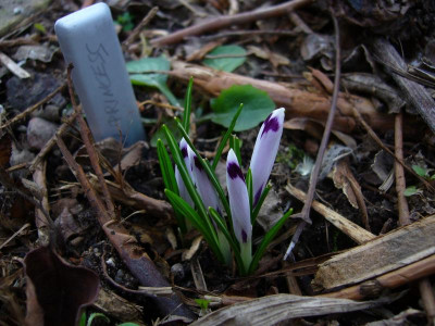 P1050338.JPG