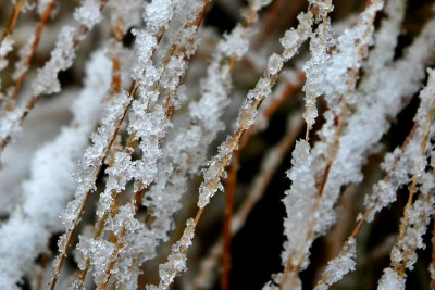 Wintereinbruch_Nov._3.jpg