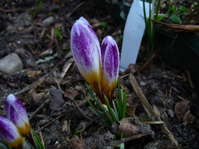 P1050336.JPG