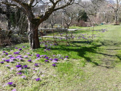 2021-03-22 Garteneinblick 1.jpg