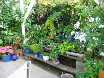 Groenanderung_IMG_1609.JPG