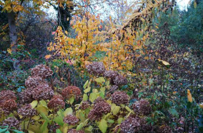 Gartenansichten_1_04-11-2007.jpg