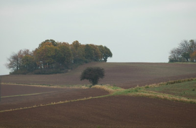 Feldansichten_3_01-11-2007.jpg