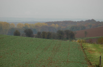 Feldansichten_1_01-11-2007.jpg