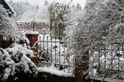 Wintereinbruch-1-b.jpg