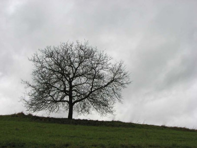 BAUME_II_SO_111107.jpg
