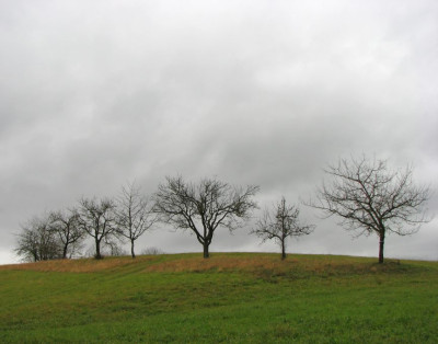 BAUME_I_SO_111107.jpg