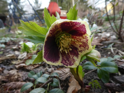 P1110034.JPG
