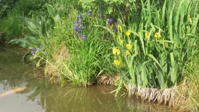 20180520_092842.jpg