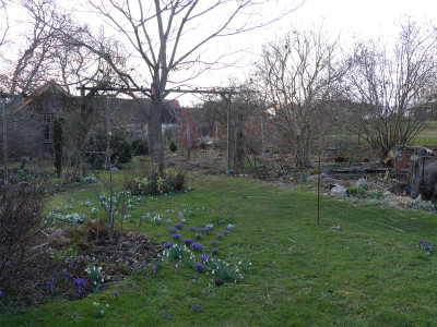 2021-03-27 Garteneinblick 2.jpg