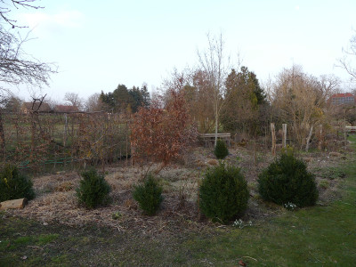 2021-03-26 Garteneinblick 1.jpg