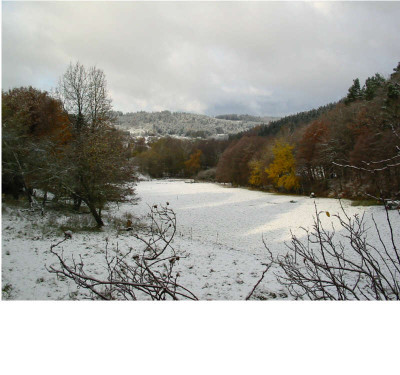 Wiese_14.11.07.jpg