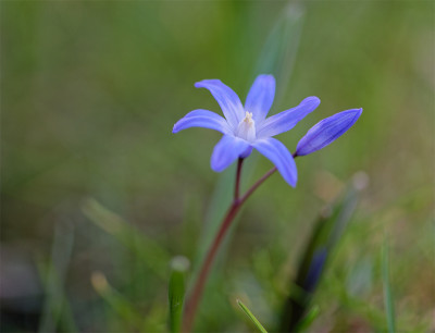 20210329_1.jpg